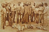 Old photograph of Tiger hunting in India ; Almots everywhere in teh country, the tiger is in danger beacause of the destruction of its habitat and poaching. Before, its hunt was reserved to the maharajas who created royal reserve to protect it. Now there is less than 5000 tigers in all India