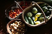 Harvest of vegetables in a kitchen garden