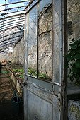 Greenhouse in a garden in spring