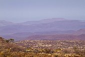 Hartmann's mountain zebras Damaraland Namibia