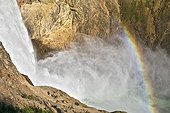 Lower Falls Grand Canyon of the Yellowstone USA ; Chasm of the Yellowstone River in layers of rhyolite become yellow as a result of the oxidation of iron and manganese contained in the volcanic rock - 