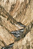 Grand Canyon of the Yellowstone USA ; Chasm of the Yellowstone River in layers of rhyolite become yellow as a result of the oxidation of iron and manganese contained in the volcanic rock - 