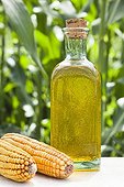 Ears and Corn Oil beside a Corn field