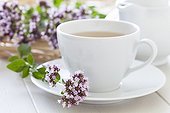 Sweet Marjoram flower and Sweet Marjoram herbal tea in a cup
