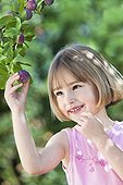 Girl picking a plum 'Quetsche' in a garden France ; Girl 5 year old<br>