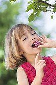 Girl eating a plum 'Quetsche' in a garden France ; Girl 5 year old<br>