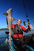 Sport fishing for sharks in a river estuary in Brittany ; Practice of "no kill" : sharks are released after capture.