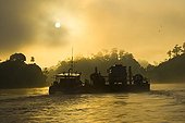 Ferry carrying vehicle across River Kinabatangan Borneo