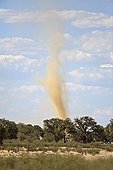 Small tornado of sand in the Kalahari Desert in RSA