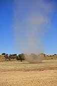 Small tornado of sand in the Kalahari Desert in RSA