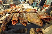 Grouper on a market stall in Tripoli Libya