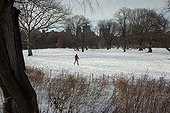 Cross country skier in Central Park in winter New York