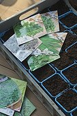 Seed packets of herbs and buckets of vegetal mould France