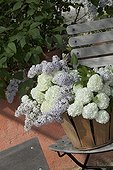 Bouquet of flowers of snowball bush and lilac in a basket