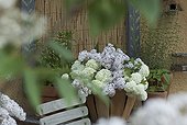 Bouquet of flowers of snowball bush and lilac in a basket