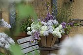 Bouquet of flowers of snowball bush and lilac in a basket