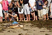 Release of a loggerhead turtle fitted with a tag France ; After 7 months at Cestmir (Centre for Study and Care for Marine Turtles of the aquarium of La Rochelle),Chacahé a loggerhead turtle found freedom 