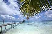 Boardwalk going into the sea and palm leaf Tuamotu