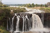 The Blue Nile Falls in Northern Ethiopia