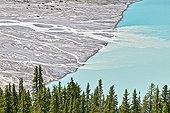 Water Ice Peyto Lake Rockies Banff NP Canada 