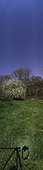 Tree in bloom under the gibbous moon ; At the bottom of the image, the shadow of the camera is surrounded by a halo called Heiligenschein clear. In contrast, high in the sky, stands the Great Bear. 
