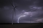 Lightning and wind at dusk Lorraine France 