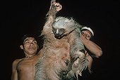 Matses Tribesman holding proudly a Two-Toed Tree Sloth Peru