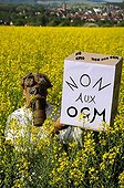 Activist anti GMO in a field of rapeseed Vosges France