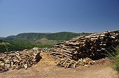 Firewood from the forest of the Mont Aigoual Cevennes ; In the bottom tray of the Causse Mejean