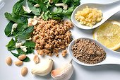 Chutney with Peanut Garlic Coriander Mint and Lemon
