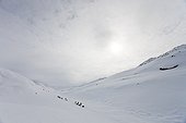 Winter expedition on the island Ammassalik Greenland