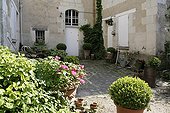 Box containers in a courtyard garden