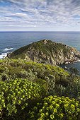 Cape Point Lardier Riviera France