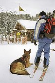 Avalanche dog and dog master in resort in the mountains 