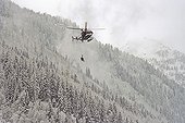 Intervention with avalanche dog from a helicopter