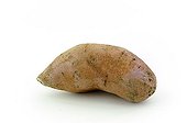 Sweet potato on a white background