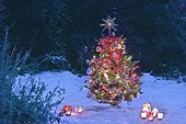 Christmas tree with lights under snow in a garden