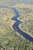 Overview of a river in the Okavango Delta in Botswana