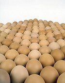 Eggs on white background 