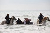 Bull rescue from drowning during a abrivade Camargue 