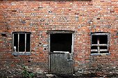 Barn Owl perched in the window of an old stable GB