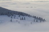 Snowy landscape of the Vosges in winter