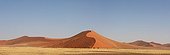 Panorama of the Namib Desert near Sossusvlei 