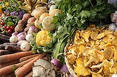 Stall of Vegetables and Mushrooms in fall France