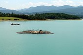 Fish farm life in Lake Montbel Pyrenees France 