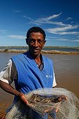 Man showing of black tiger shrimp in a net Madagascar ; Shrimp farms in Madagascar is considered the greenest in the world and supported by WWF and UNESCO.