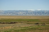 High Atlas seen near Marrakesh in Morocco