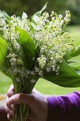Lily-of-the-valley bouquet in spring