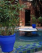 Pound in garden Majorelle in Marrakech  Morocco