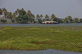 Ecotourism in boat Kerala Backwaters India